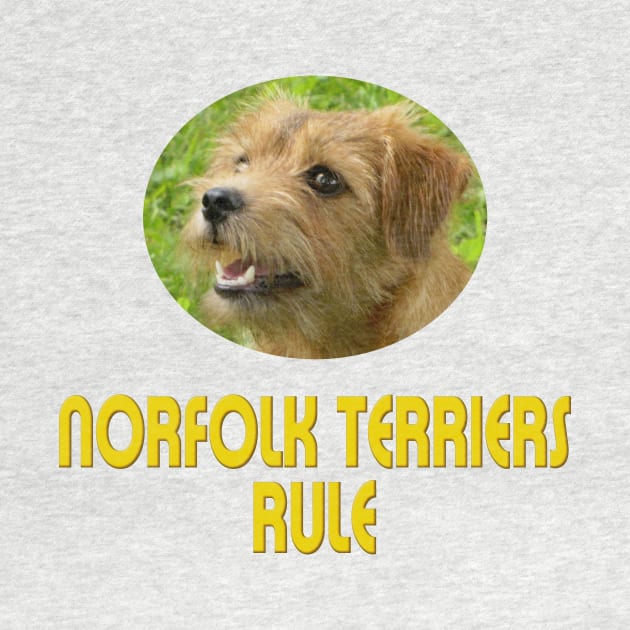 Norfolk Terriers Rule! by Naves